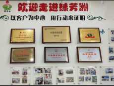 绿芳洲强硬实力